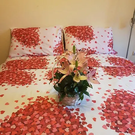 Sunce * Sremska Mitrovica