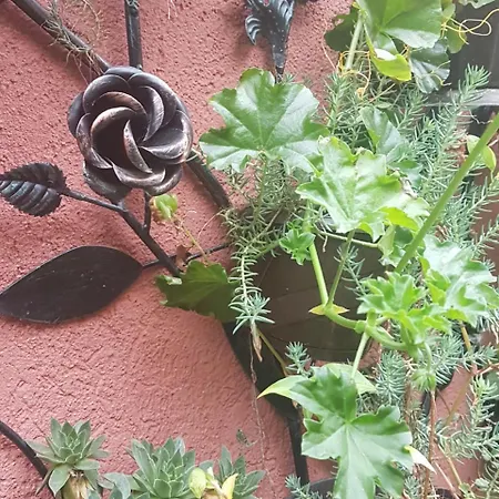 Apartment Sunce Sremska Mitrovica