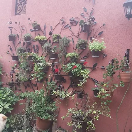 Sunce Sremska Mitrovica