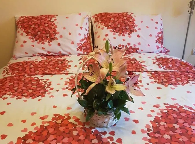 Sunce * 스렘스카 미트로비차