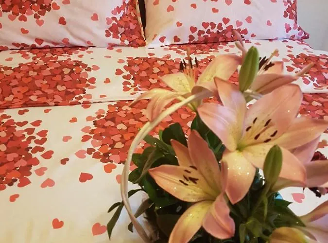 아파트 Sunce 스렘스카 미트로비차