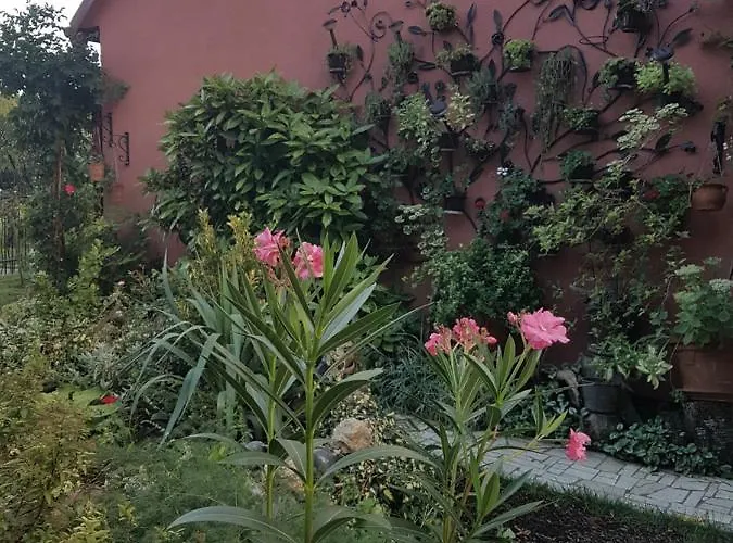 아파트 Sunce 스렘스카 미트로비차