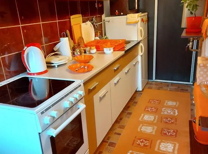 Sunce * 스렘스카 미트로비차