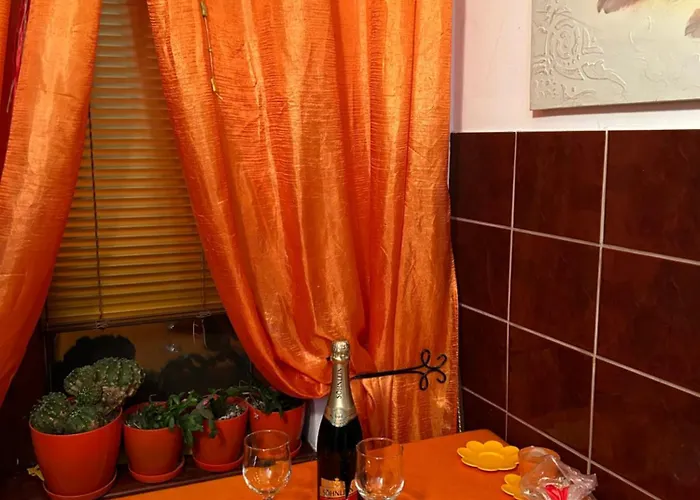 Sunce * 스렘스카 미트로비차