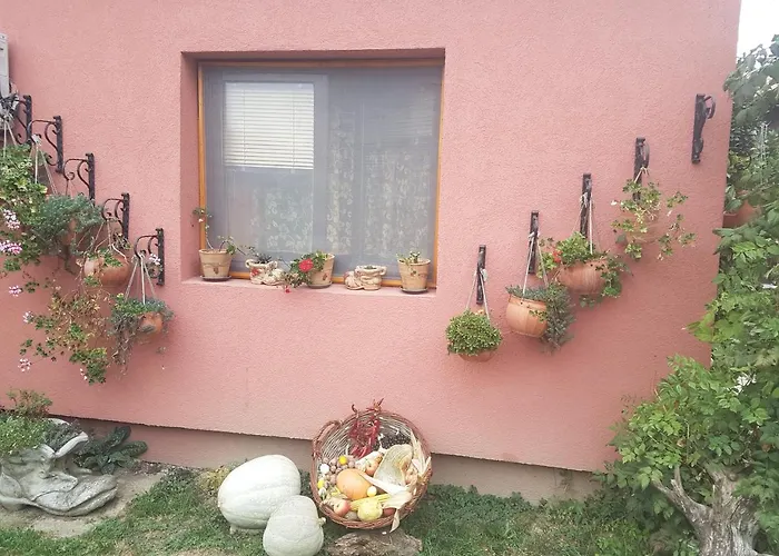 Sunce * 스렘스카 미트로비차