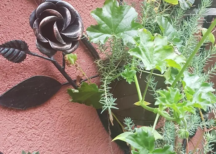 아파트 Sunce 스렘스카 미트로비차