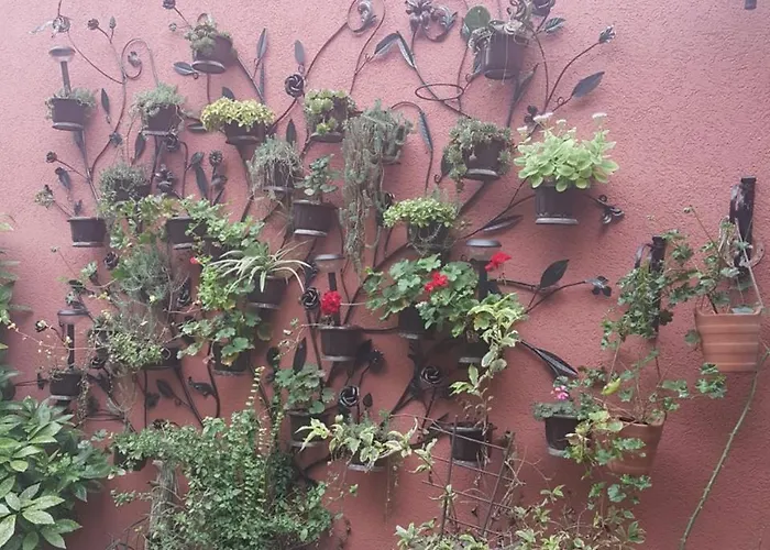 Sunce 스렘스카 미트로비차